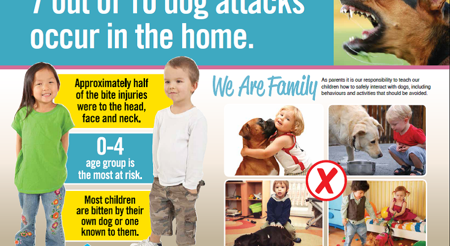 Program Guides Parents on Nurturing the Child/Pet Relationship from Pregnancy to Kindergarten