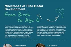 Milestones of Fine Motor Development From Birth to Age 6 | Playgroup NSW
